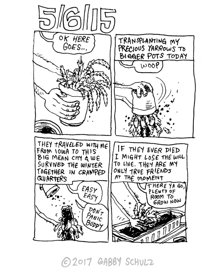 Phase 7 #APODROE Page 15