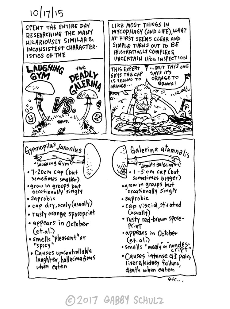 Phase 7 #APODROE Page 26